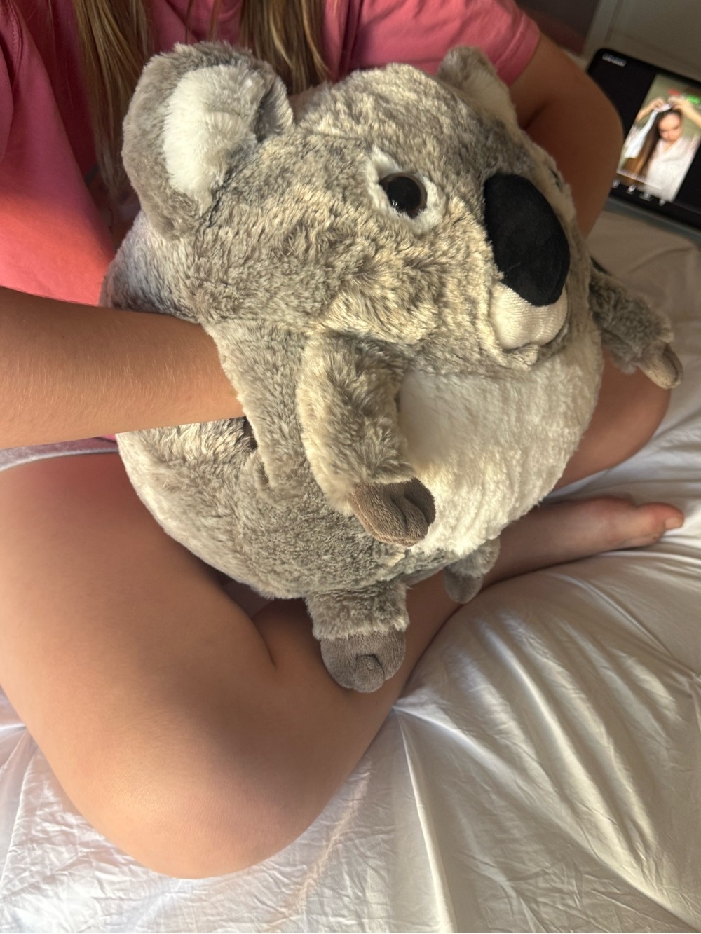 Adorable koala stuffy/muff